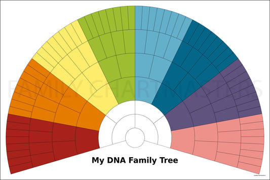 Crista Cowan DNA Fan