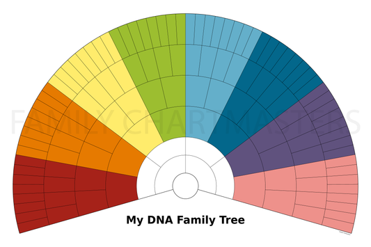 Crista Cowan DNA Fan