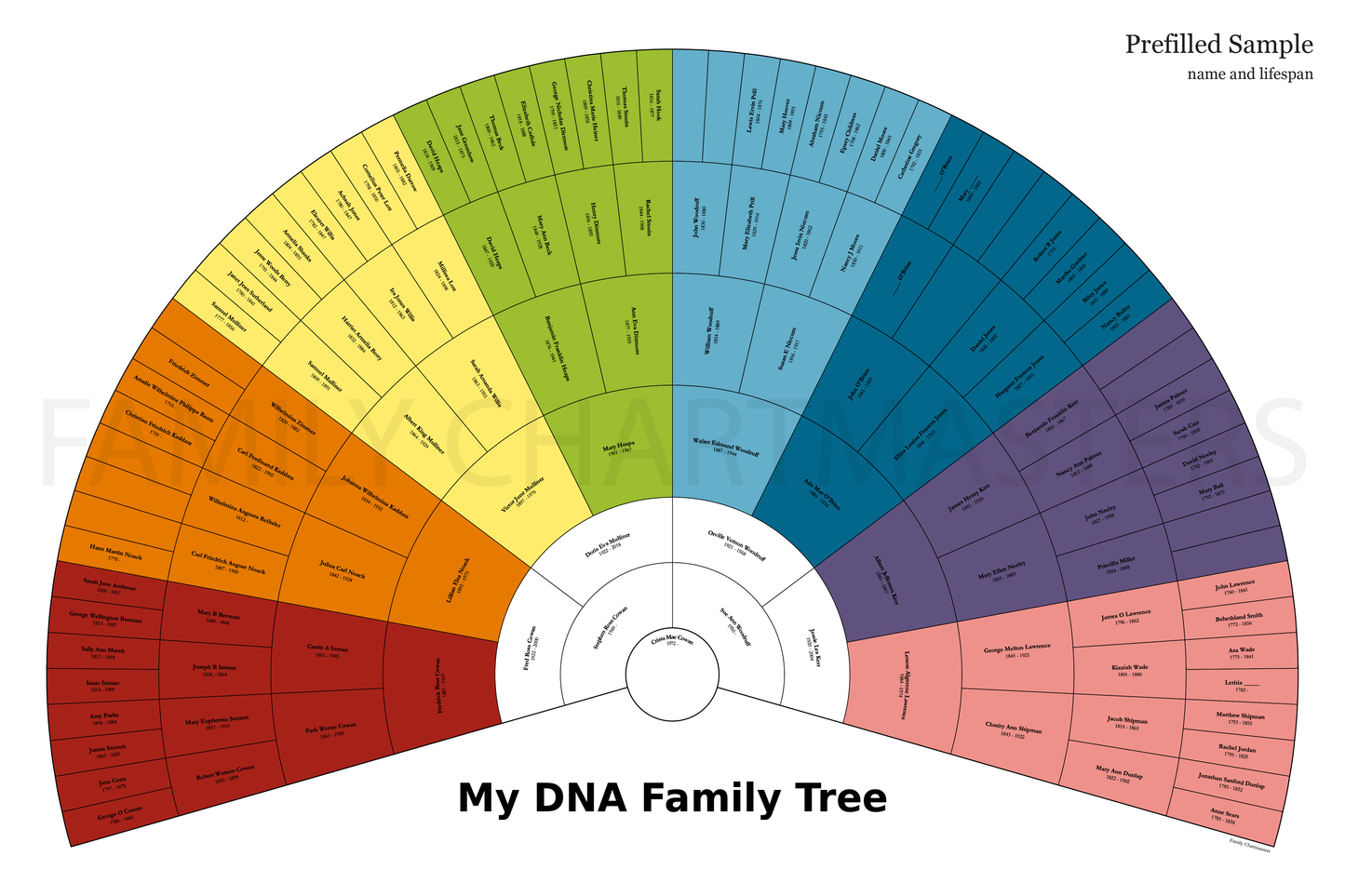 Crista Cowan DNA Fan