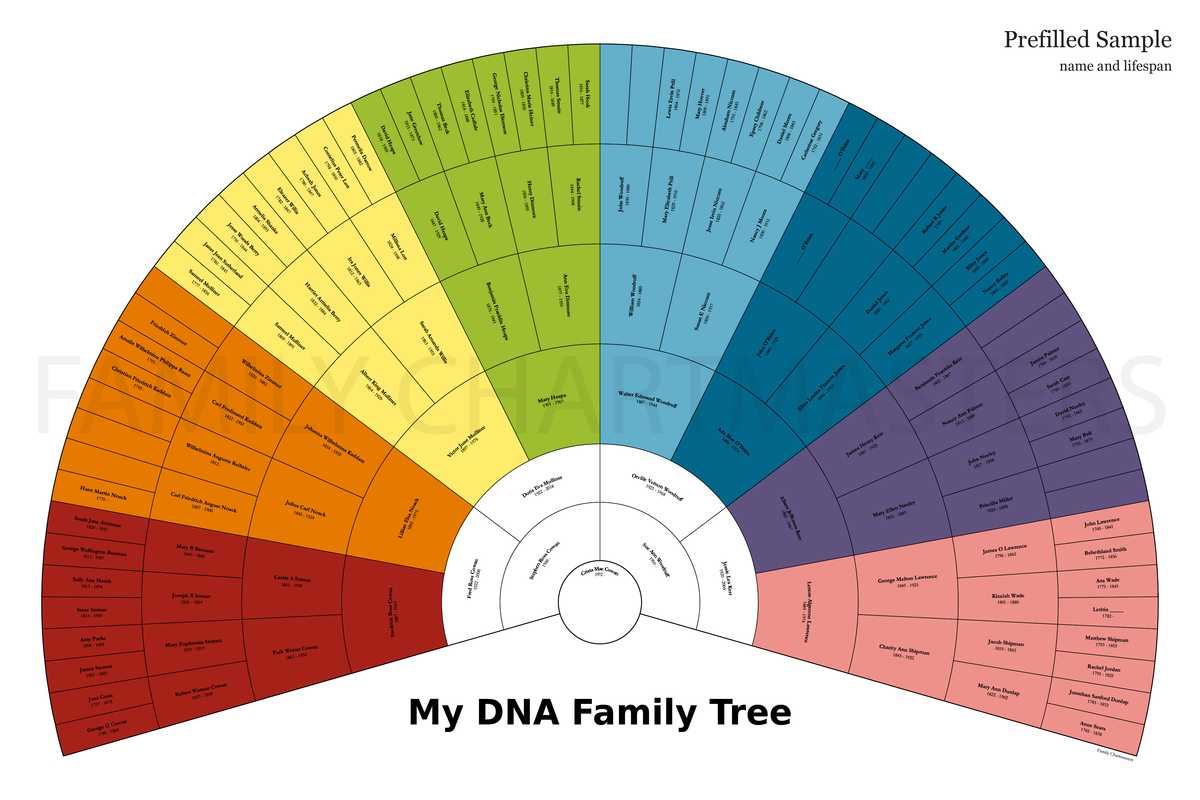 Crista Cowan DNA Fan – Family Chartmasters