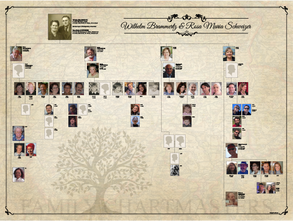 Wilhelm Brammertz – Family Chartmasters